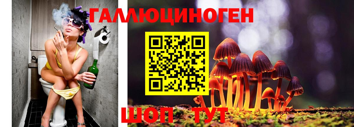 Псилоцибиновые грибы GOLDEN TEACHER Грозный