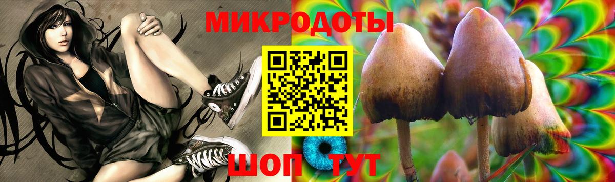 Галлюциногенные грибы ЛСД  Псилоцибиновые грибы MAGIC MUSHROOMS  Вход с VPN  цены наркотик  Грозный 